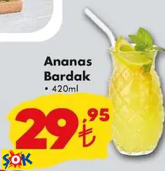 ANANAS BARDAK ANANAS BARDAK